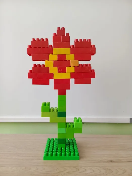 IMG_20260311_154220_282